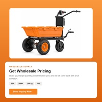 Brouette Électrique AKX 36V à 3 Roues, Chariot de Jardin Électrique, Moteur Brushless 300W, Charge 200kg, Bac PP 75L