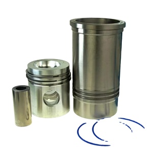 Ensemble de pompe à eau pour moteur diesel Tata 252520100145, pièce de rechange OEM pour voiture, camion, véhicule utilitaire léger (VUL) - Product Image 2