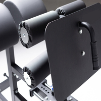 Équipement de fitness direct d'usine exerce la chaise romaine d'extension de dos de fessier de jambon de machine