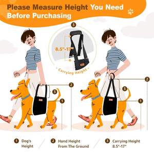 調整可能な犬用リフトハーネスハインド安全なケア脚リフトサポート弱い後脚シニア負傷障害者手術ライトアップ犬用ハーネス - Product Image 5