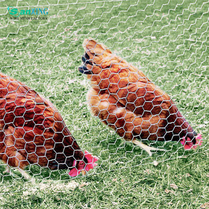 Low Carbon Steel Hexagonal Wire <b>Mesh</b> Chicken Wire Fence for Farm Use - Product Image 6