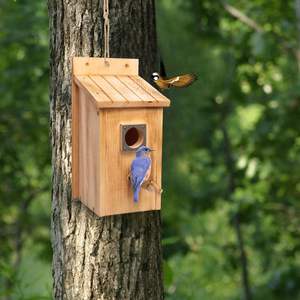 Houten Hangend Vogelhuisje Buiten Met Beschermhoes Voor Metalen Roofdieren - Product Image 6