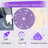 40 Grit 6 Inch Multi-Hole Purple Ceramic Ponçage Disc Dust-Free Auto Metal Wood Hook Loop 36 PCS Abrasive Disc Type