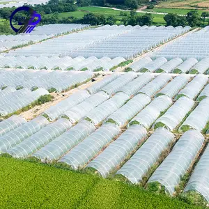 Serres agricoles en plastique, Film pour légumes, fleurs, jardin, Tunnel pour serre agricole, serre