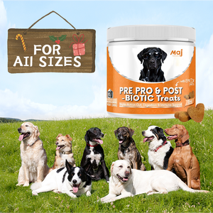Suplemento Masticable Probiótico Natural OEM para Perros, Favorece la Salud Digestiva e Inmunológica, Suplemento Premium para el Cuidado de la Salud de las Mascotas - Product Image 3