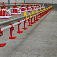 Línea de Bebederos de Tetina para Pollos, Sistema Automático de Alimentación para Aves de Corral, Comedero Tipo Bandeja para Gallineros