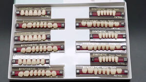 Protesi Dentali in <span class=keywords><strong>PMMA</strong></span>, Denti in Resina Acrilica Sintetica a Prezzo di Fabbrica - Product Image 4