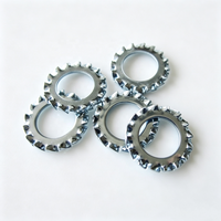 DIN6798A M10 Serrated External Tooth Washer 304 Stainless Steel Anti-Loosening Lock Washer