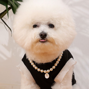 Nuevo collar de perlas para mascotas Patrón de rosas Collar de collar de gato de perro bonito - Product Image 1