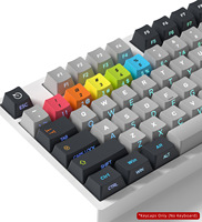 Ensemble de touches Grayscale Prologue Cherry Height PC+PBT avec caractères translucides par sublimation pour clavier à interrupteurs magnétiques