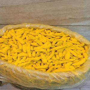 Cúrcuma Fresca de Calidad Superior para Exportación, Grado Alimenticio, Curcumina Pura, Prensada en Frío, Limpia con Máquina, Mejor Precio al por Mayor - Product Image 4