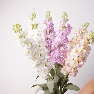 S623 Jacinto <span class=keywords><strong>Orientalis</strong></span> Artificial de Látex de Alta Calidad, Ecológico y Hecho a Mano - Product Image 6