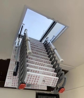 Hôtel Restaurant utilisation acier évent réparation pliant grenier échelle escalier toit montage télescopique extension câble métallique élingue nouveau