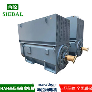 Moteur haute tension haute densité Marathon Hah IP55 étanche pour ventilateurs et pompes à eau - Product Image 5