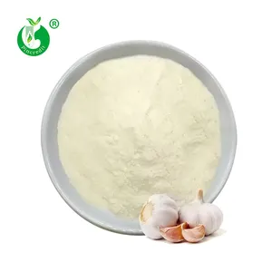 Pincredit Supply High Quality 100% Natural Bulk Price Garlic Extract Allicin Powder