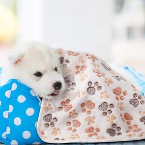Perro cachorro pata estampado polar pequeño mediano grande cálido suave dormir Mat gatito perrito Mat mascota <span class=keywords><strong>Manta</strong></span> - Product Image 6
