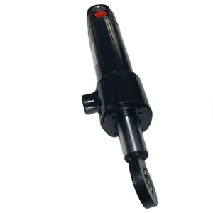Cilindro Hidráulico SNH30-D-80/40x490-G FD-63/30X335 SNH30-SD-40/25X 100-S-RS - Product Image 1