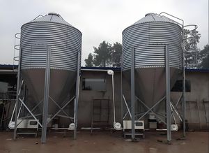 Sistema di alimentazione per allevamento di suini, - Product Image 3