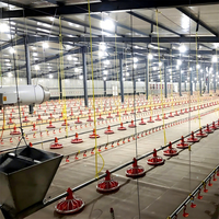 Nouveau Système d'Alimentation Automatique pour Poulets en Cage, Équipement d'Élevage de Poulets de Chair au Sol en Plastique PP