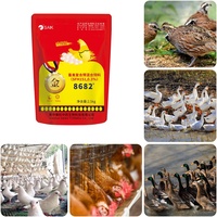 Concentré Riche en Protéines pour Poulets de Chair Prémélange Alimentaire Volailles Vitamines Enzymes Nutrition Optimale pour Poules Pondesuses Acides Aminés de Qualité Alimentaire