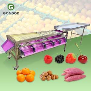 Taille de classement automatique des fruits propre et tri tomate cerise avocat date machine de fabrication artificielle à vendre - Product Image 1