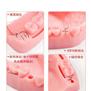 Molde de Práctica de Sutura de Silicona para Entrenamiento en Cirugía Oral, Varios Tipos de Heridas Gingivales (Módulo de Cuatro Dientes) para Estudiantes de Medicina - Product Image 4