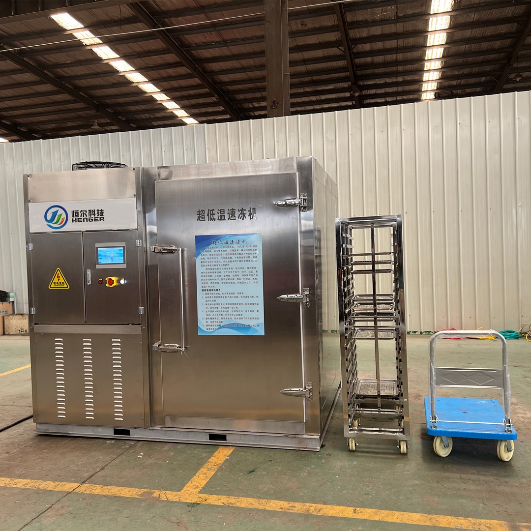 Промышленный шоковый морозильник-40, шоковый морозильник для курицы, мяса, морепродуктов