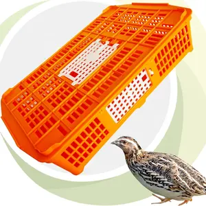 ZB/pollito de plástico codorniz aves de corral pollo paloma jaula transporte Caille