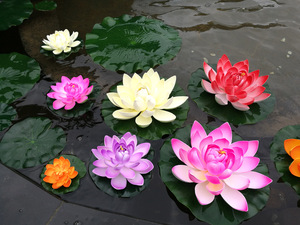 Mô Phỏng Hoa Sen Với Lá Lily Nước Hoa Sen Giả Nổi Khiêu Vũ Đạo Cụ Hồ Bơi Trang Trí <span class=keywords><strong>Lotus</strong></span> EVA Bọt Hoa Cho Hồ Bơi - Product Image 6