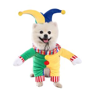 Costume d'Halloween pour animaux de compagnie, motif chauve-souris noire, en polaire moelleuse, pour chiens et chats de petite race, certifié OEKO BSCI ROHS, vente en gros pour les magasins d'animaux - Product Image 6