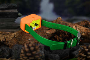 IK122T Pro Hunting <span class=keywords><strong>Dog</strong></span> <span class=keywords><strong>GPS</strong></span> Tracker 4000mAh E-shock Collar impermeable Pet Locator <span class=keywords><strong>Dog</strong></span> Trainer con luz estroboscópica para la noche al aire libre - Product Image 5