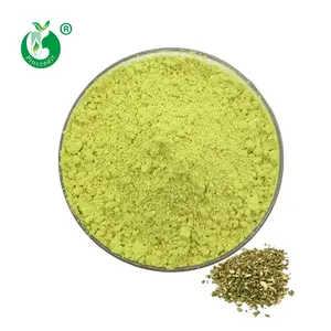 Vendita calda Bulk Sophora Japonica estratto in polvere 98% quercetina diidrato