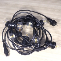 Vente chaude en Australie DC24V AC240V ES Vintage Ampoule G45 2W 2000K-3000K Blanc Chaud Globe Ampoules