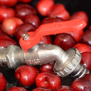 Brass Garden Bibcock 1" with <b>Hose</b> Connector | Durable Outdoor <b>Tap</b> | THS Thermostyle® - Product Image 1