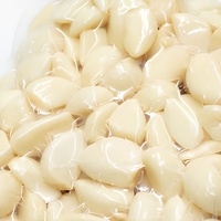 Ail congelé IQF halal de haute qualité, export à bas prix en cartons de 10 kg