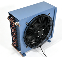 Unidad de Refrigeración Pequeña Personalizable con Compresor de Ventilador Único e Interfaz Lateral, Condensador de Tubo de Cobre Aletado Refrigerado por Aire