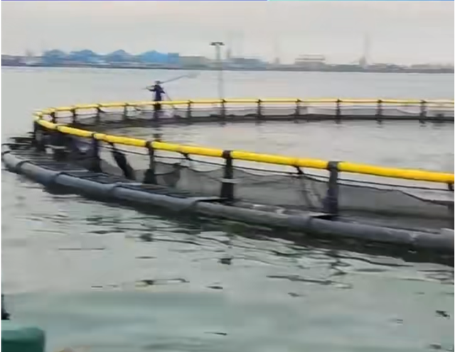 Durable Round Aquaculture Floating Farming Hdpe Fish Cage Sea Fish Breeding Net Cage