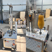Industriële volautomatische kokosnoot- en ananas-schilmachine met motor van roestvrij staal 304