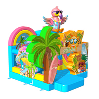 WINSUN Toboggan Gonflable Aloha d'Été en PVC Étanche Certifié CE de Qualité Commerciale pour Fêtes d'Enfants et Parcs d'Attractions