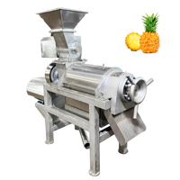 Extracteur de jus industriel VBJX pour le traitement des légumes à feuilles vertes, concombre, tomate, oignon, gingembre, ail, machine à fabriquer du jus