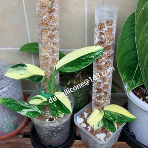 New Idea 2022 Extendable <strong>Coco</strong> Coir Totem Plastic Moss Poles Plant Support for Indoor Climbing Plants Creepers Moss <strong>Sticks</strong> Stand - Product Image 3