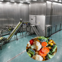 IQF Diepvriesgroenten Gemengde Groentenmix Snelgevroren Erwten Mais Erwten Wortelen Broccoli Groothandel Voedselservice