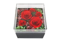 Produit très vendu - Couvercle en acrylique de luxe - Roses éternelles réelles de haute qualité - En cadeau
