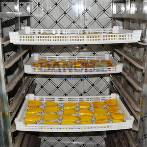 Secadora de Mango Avanzada, Línea de Producción para Pelar, Rebanar y Secar Mango, Máquina Deshidratadora de Mango - Product Image 4