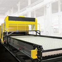Kamera Pemindai Garis Laser Hongzhi AI Hyperspectral Optical Sorter Motor Akurasi Tinggi Panjang 6000mm Efisiensi Tinggi PC PVC