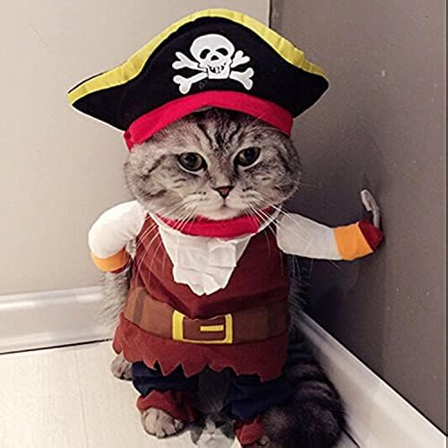 Pirate