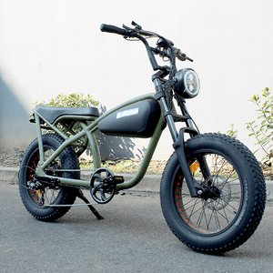 Bicicletta Elettrica Retrò da 20 Pollici, Fatbike Vintage con Motore Bafang 750W 48V, Bici Elettrica da Città e Fuoristrada - Product Image 2