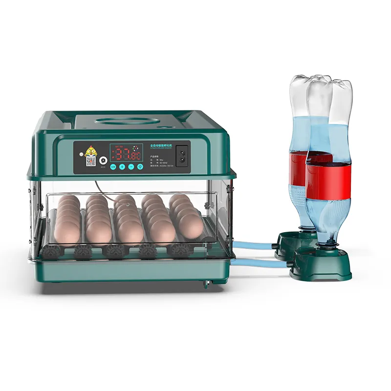 Fully Automatic Dual Power 30 Egg Capacity Small Chicken Egg Incubator For Sale