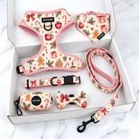 Ensemble Harnais de Noël pour Chien Petsign – Collier Réglable Anti-Traction, Laisse, Bandana, Nœud Papillon, Distributeur de Sacs à Déjections – Vente en Gros Direct Usine