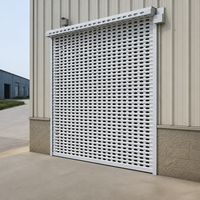 Porte à enroulement électrique en aluminium perforé avec lames de sécurité ventilées pour vitrine de magasin